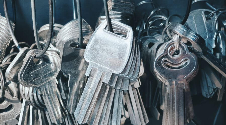 Professional gutter cleaning in Wild Horse, CO